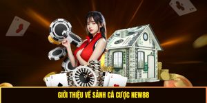 Giới thiệu về nhà cái rio66